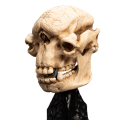 The Lord of the Rings Skull of a Cave Troll statuette 21 cm Statue