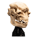 The Lord of the Rings Skull of a Cave Troll statuette 21 cm WETA Collectibles