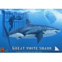 great white shark