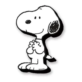 Peanuts: Snoopy Funky Chunky Magnets 