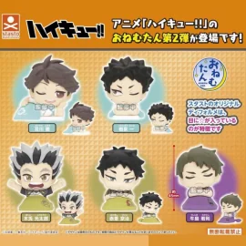 Haikyu!! Onemutan Sleeping Figure Collection Vol.2 Figurine 