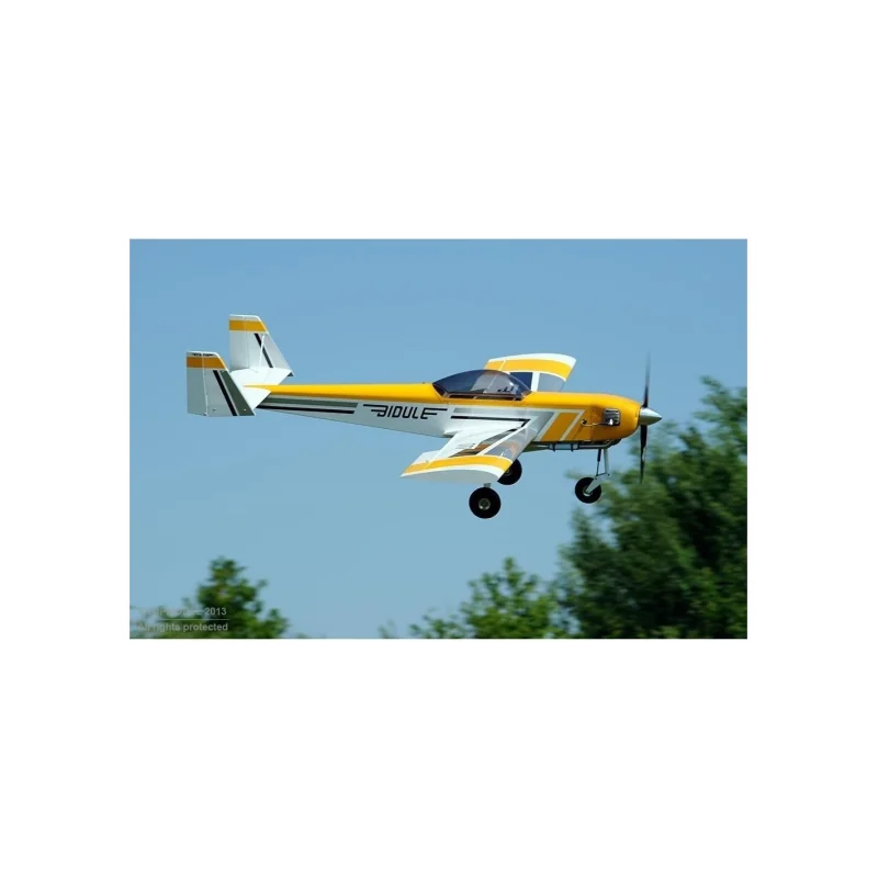 Ecotop Bidule 111 ARF aircraft approx. 3.00m RC aircraft