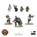 Achtung Panzer! Waffen SS Tank Force Add-on for figurine games