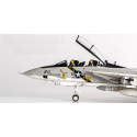 F-14A Tomcat USNAVY VF-84 Jolly Rogers AJ211 1978 Miniature airplane