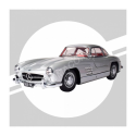 MERCEDES-BENZ 300 SL SILVER Model car kit