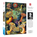 Ernst Haeckel puzzle Imagination Sea Anemones/Stworzenia morskie (1000 pieces) Jigsaw puzzle