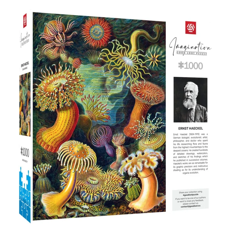 Ernst Haeckel puzzle Imagination Sea Anemones/Stworzenia morskie (1000 pieces) Jigsaw puzzle