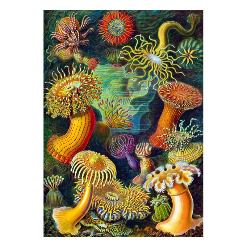 Ernst Haeckel puzzle Imagination Sea Anemones/Stworzenia morskie (1000 pieces)