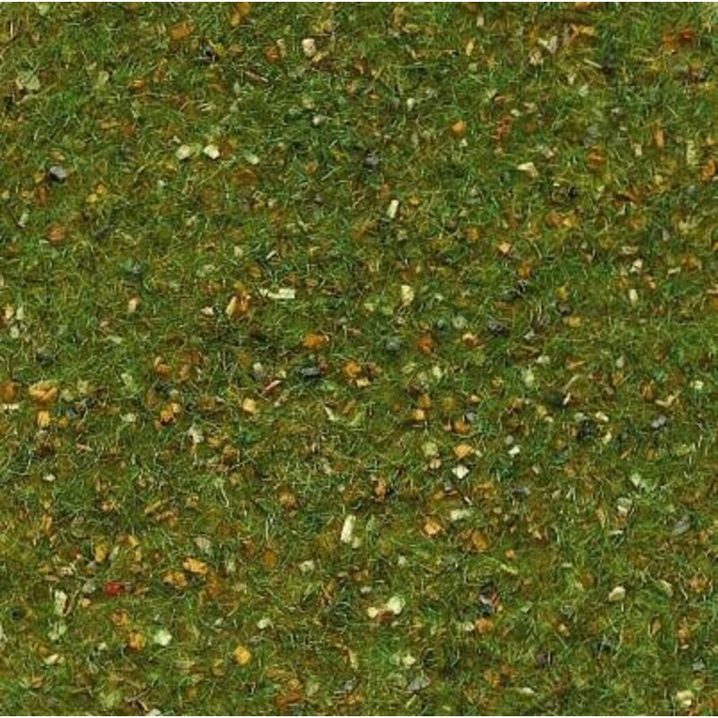 Forest green Carpet 30x40