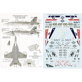 Boeing F/A-18F Super Hornet (2) 165879/123 VFA-41 USS Ronald Reagan 2004; 165916/100 VFA-2 CAG USS Abraham Lincoln 2004