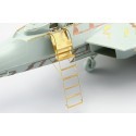 Lockheed Martin F-22 Raptor ladder (designed to be assembled with model kits from Academy)