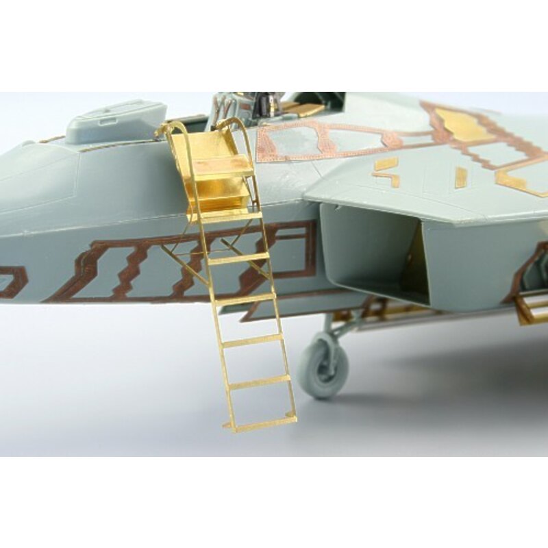 Lockheed Martin F-22 Raptor ladder (designed to be assembled with model kits from Academy)