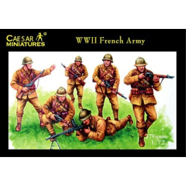 WWII French Army Historical figure
