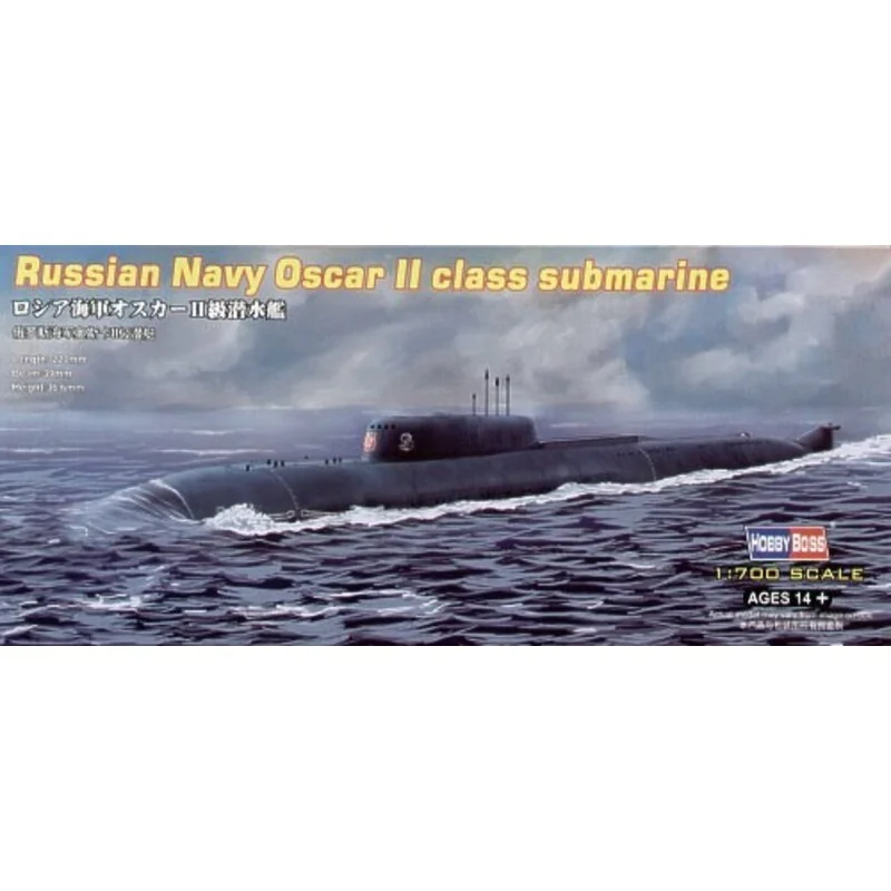 Russian Navy Oscar II Submarine (submarines)