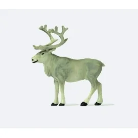 Reindeer