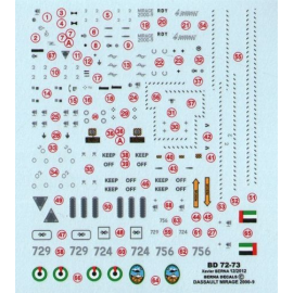 Dassault Mirage 2000-9EAD of United Arab Emirates Air Force : n°724 Dubai 11/2011, n°729 Dubai 11/2011, n°756 seen in Italy in M