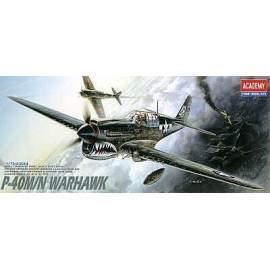 Curtiss P-40M / P-40N Warhawk (WAS AC12465) Model kit