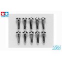 3x10mm screws