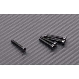 M3x20 hex cap screws (6p )