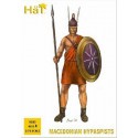 Macedonian Hypaspists x 48 figures per box