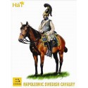 Swedish Cavalry