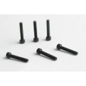 BTR screw M3 * 20 6 pcs