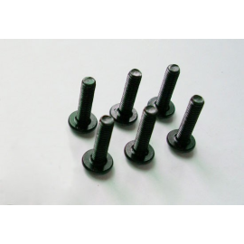 Screw M3 * 12 6pcs