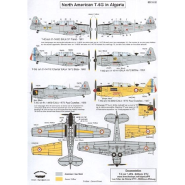 737-500 decal set - Air France.