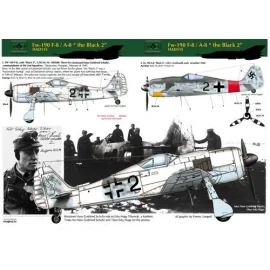 Focke-Wulf Fw 190F-8 / Focke-Wulf Fw 190A-8 (Luftwaffe black 2)