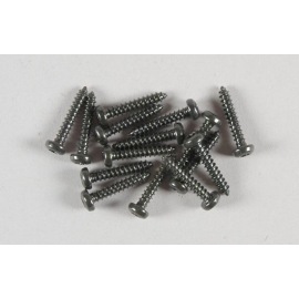 Torx screws 2,9 x13 ( 15p ) 