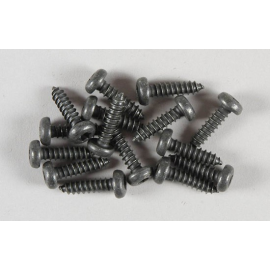 Torx screws 4,2 x13 ( 15p ) 