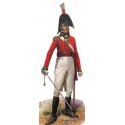 British Command Napoleonic x 24 figures