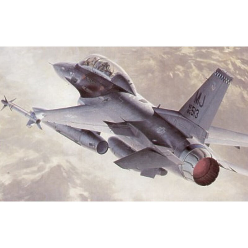 Lockheed-Martin F-16N Fighting Falcon