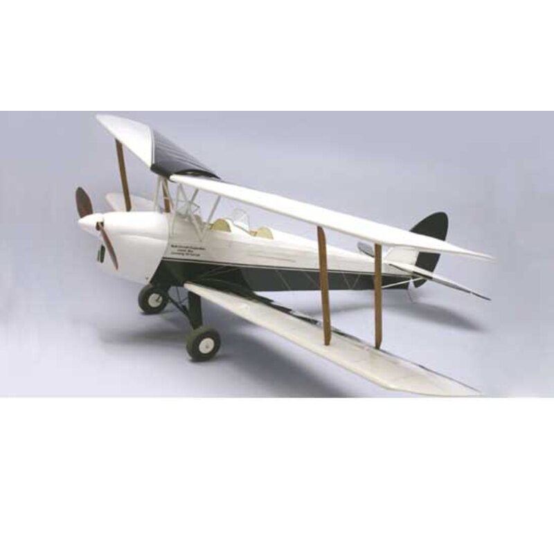 Tiger Moth R / C