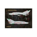 Mikoyan MiG-21UM HUnAF stencils for DDR and Silver painting