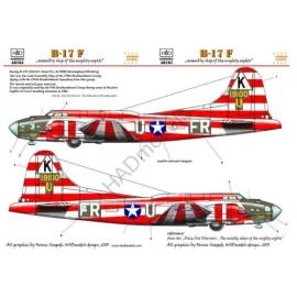 Boeing B-17E Birmingham Blitzkrieg USAAF