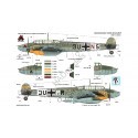 Messerschmitt Bf 110D-3 Arika Part 1