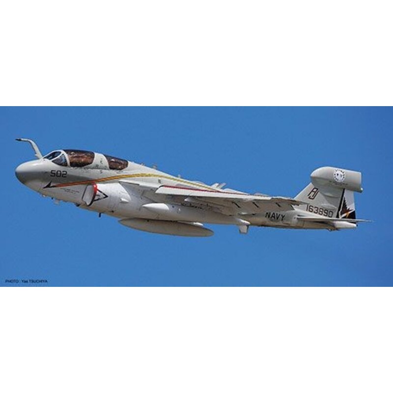 Grumman EA-6B Prowler U.S.NAVY Farewell